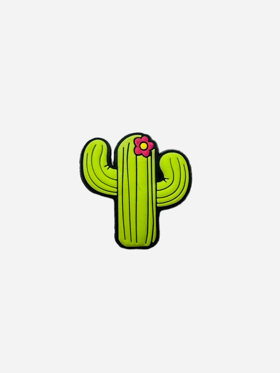 BiTZ - Cactus
